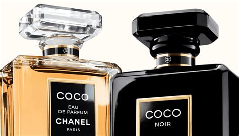 perfume similar to chanel coco noir